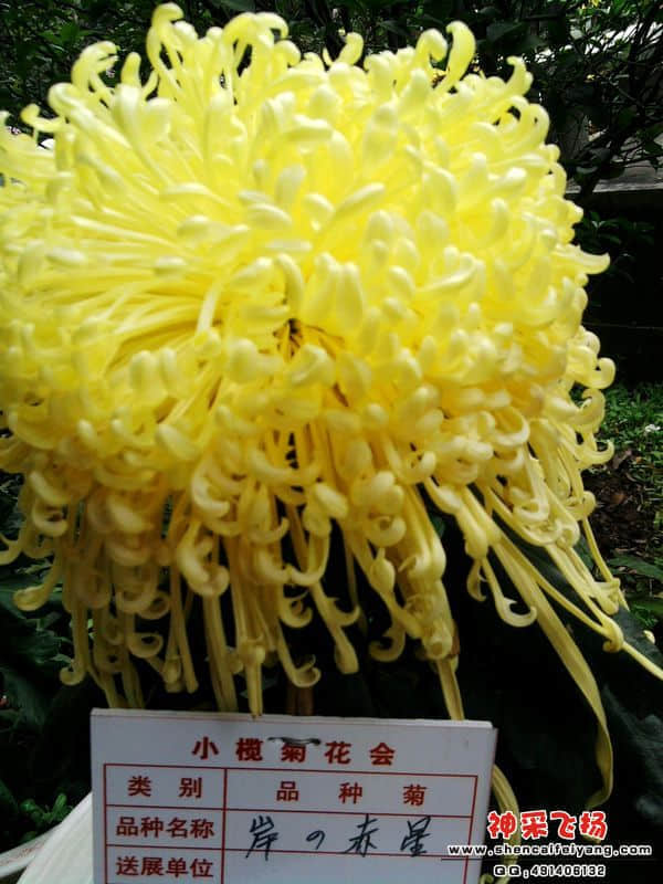 照片073.jpg