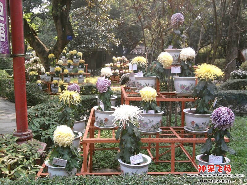 照片020.jpg