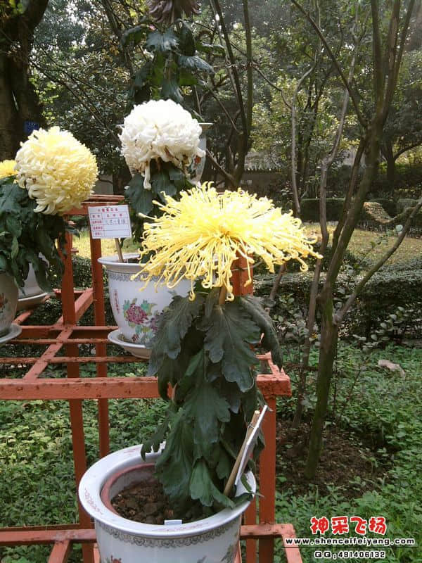照片021.jpg
