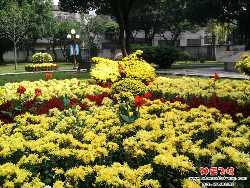照片047.jpg