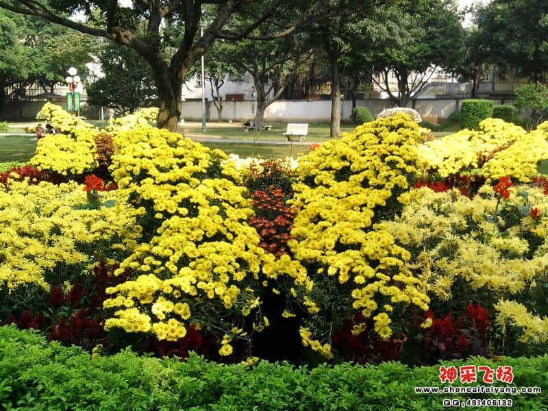 照片049.jpg
