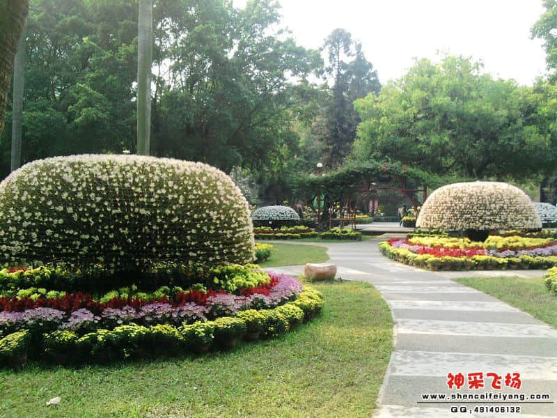 照片051.jpg