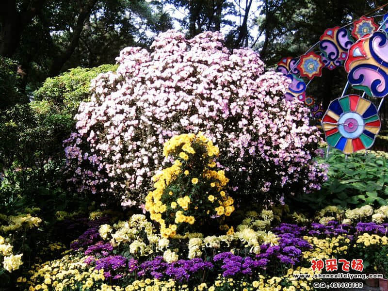 照片053.jpg