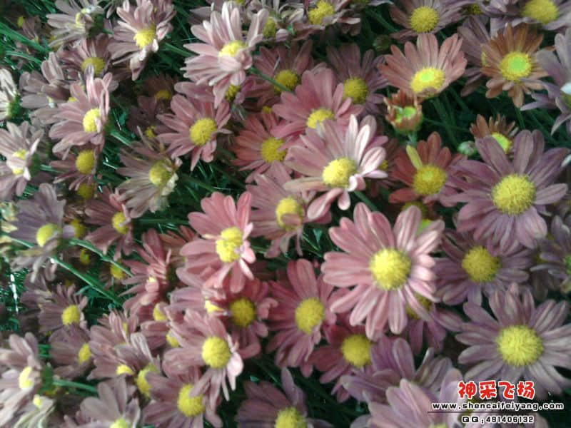 照片057.jpg