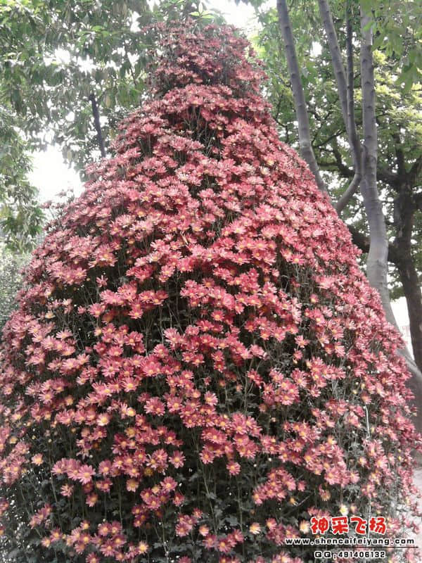 照片058.jpg