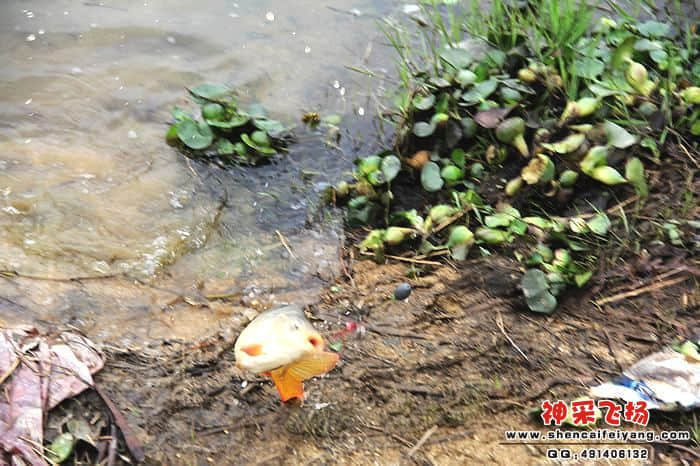 照片 076.jpg