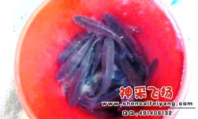 20120318_1756_0.jpg