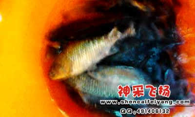 20120318_1758_1.jpg