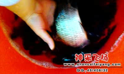 20120318_1758_0.jpg