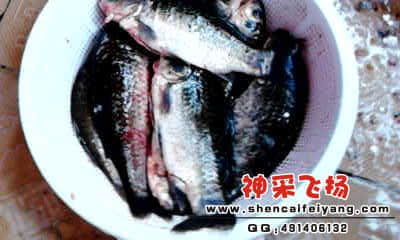 20120318_1819_0.jpg