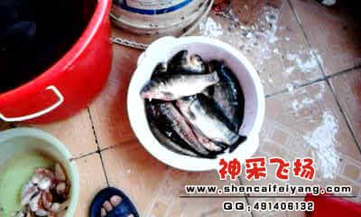 20120318_1821_0.jpg