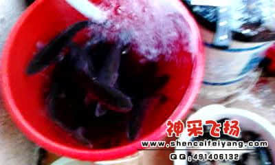 20120318_1821_1.jpg