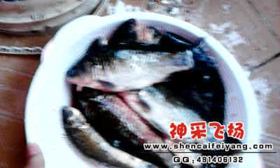 20120318_1822_0.jpg