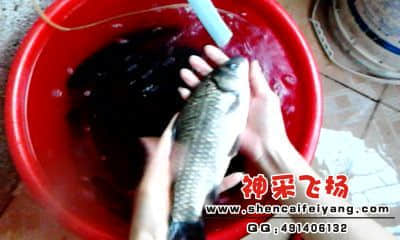20120318_1829_1.jpg