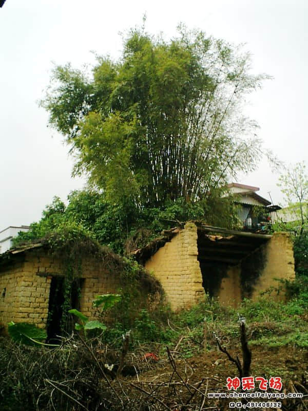 CIMG0008.jpg