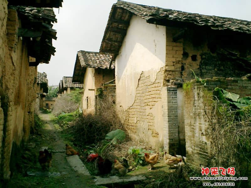 CIMG0022.JPG
