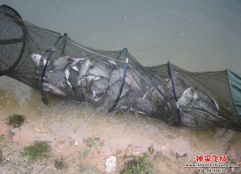 QQ截图20120320211611.jpg
