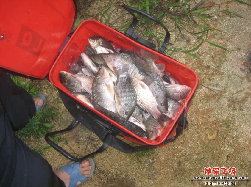 QQ截图20120320211632.jpg