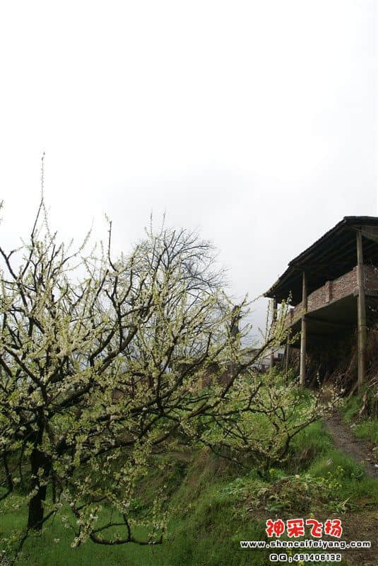 127.jpg