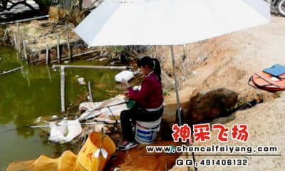 20120325_1325_1.jpg