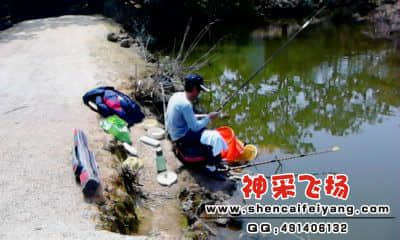 20120325_1343_1.jpg