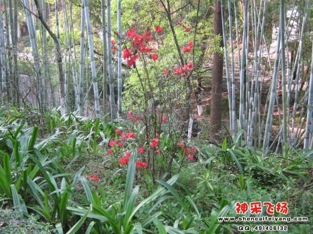 照片 1773.jpg