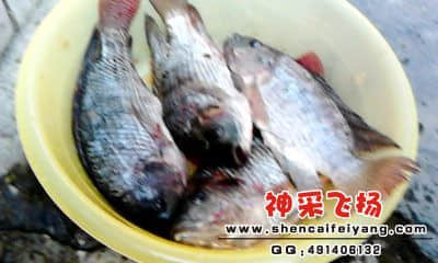 20120402_1754_0.jpg