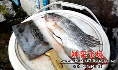 20120402_1754_1.jpg