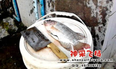 20120402_1754_2.jpg