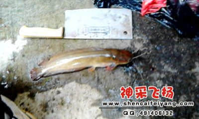 20120402_1755_1.jpg