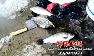 20120402_1756_0.jpg