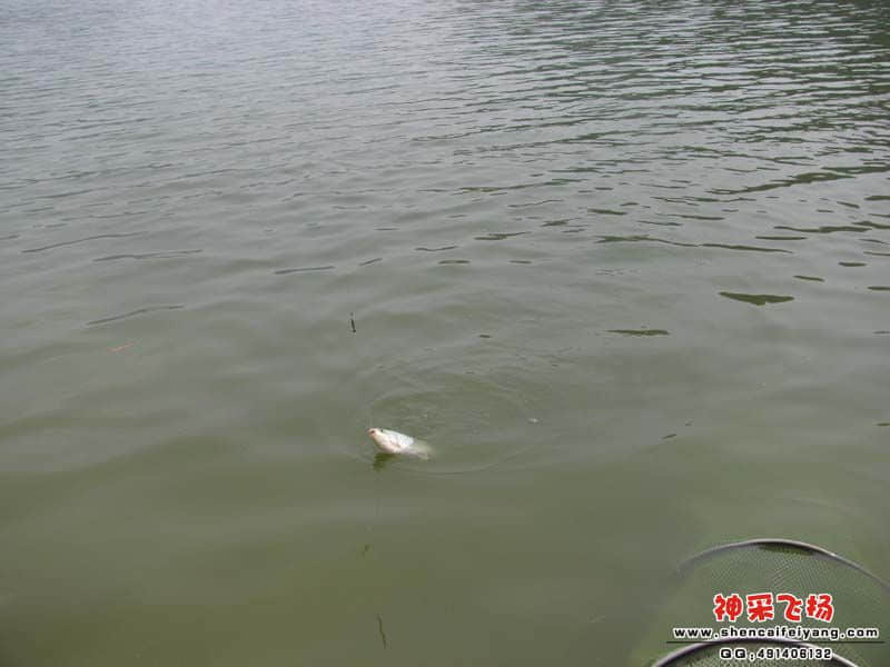 IMG_2391.jpg
