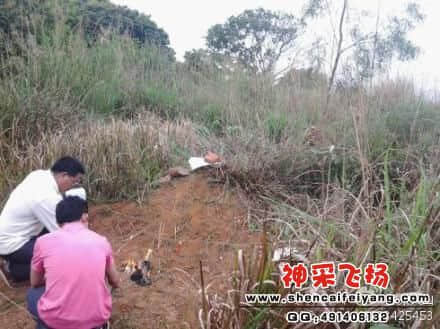 奶奶的坟墓