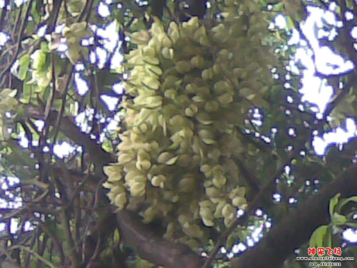 20120407(001).jpg