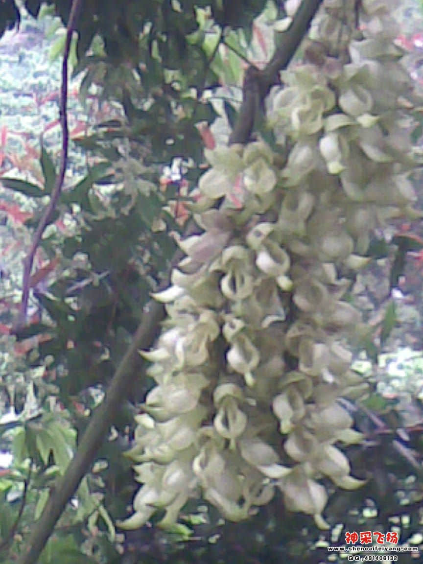 20120407.jpg