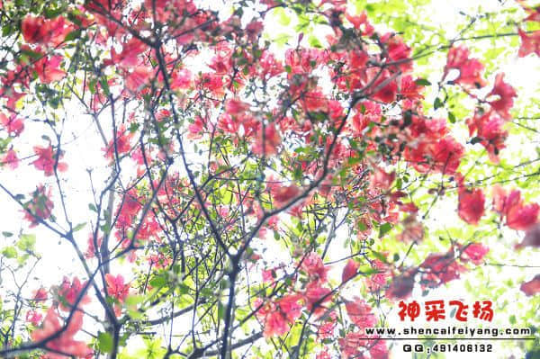 _DSC0080.jpg
