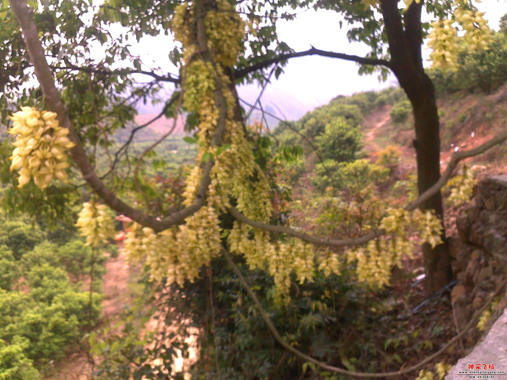 20110409257_副本.jpg