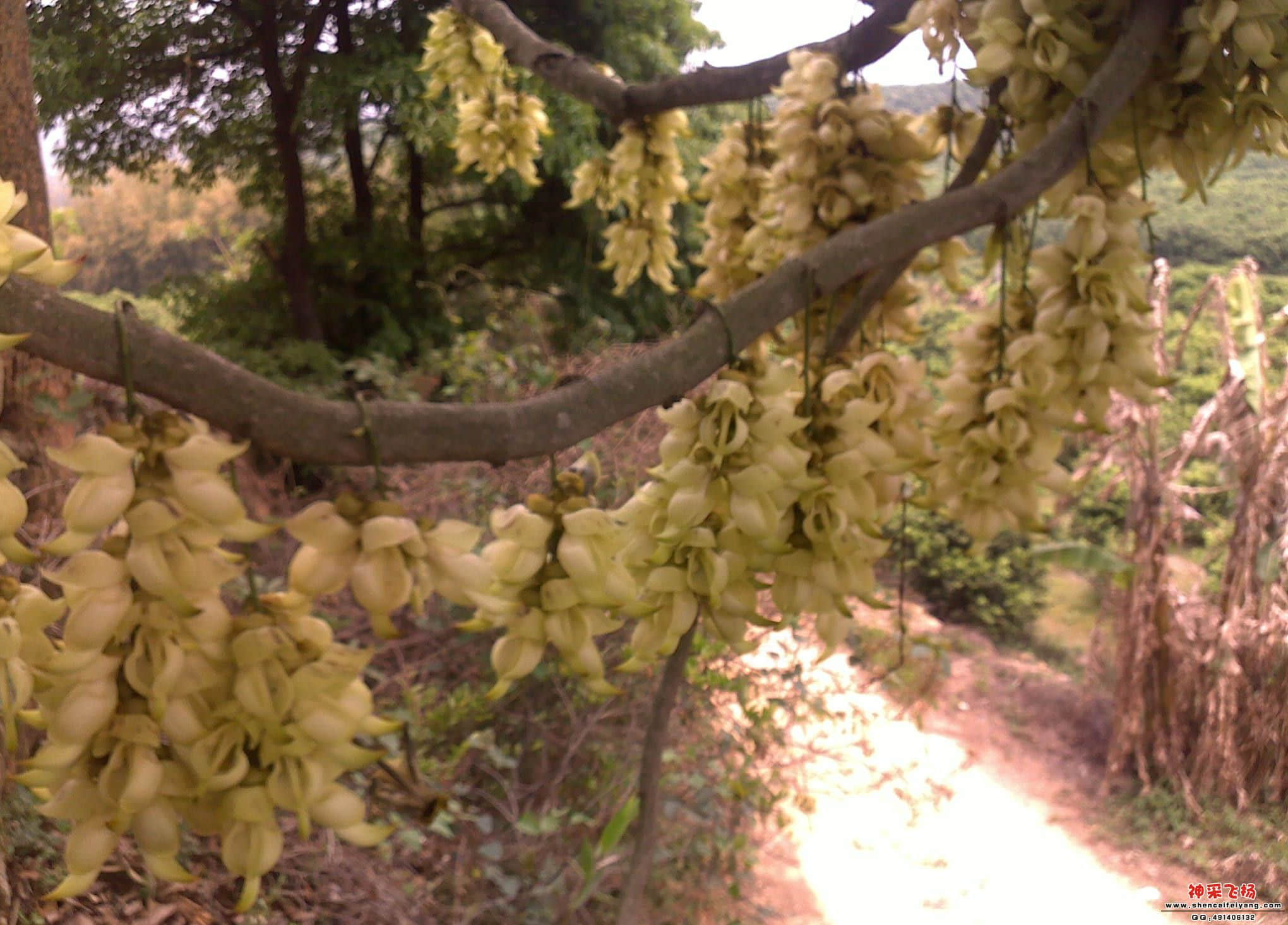 20110409271_副本.jpg