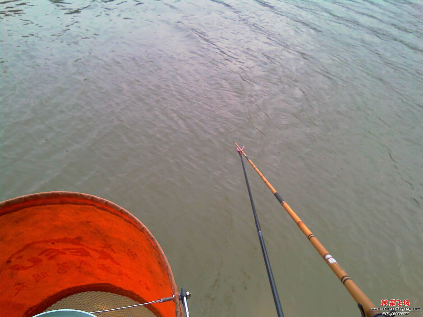 IMAG0320.jpg