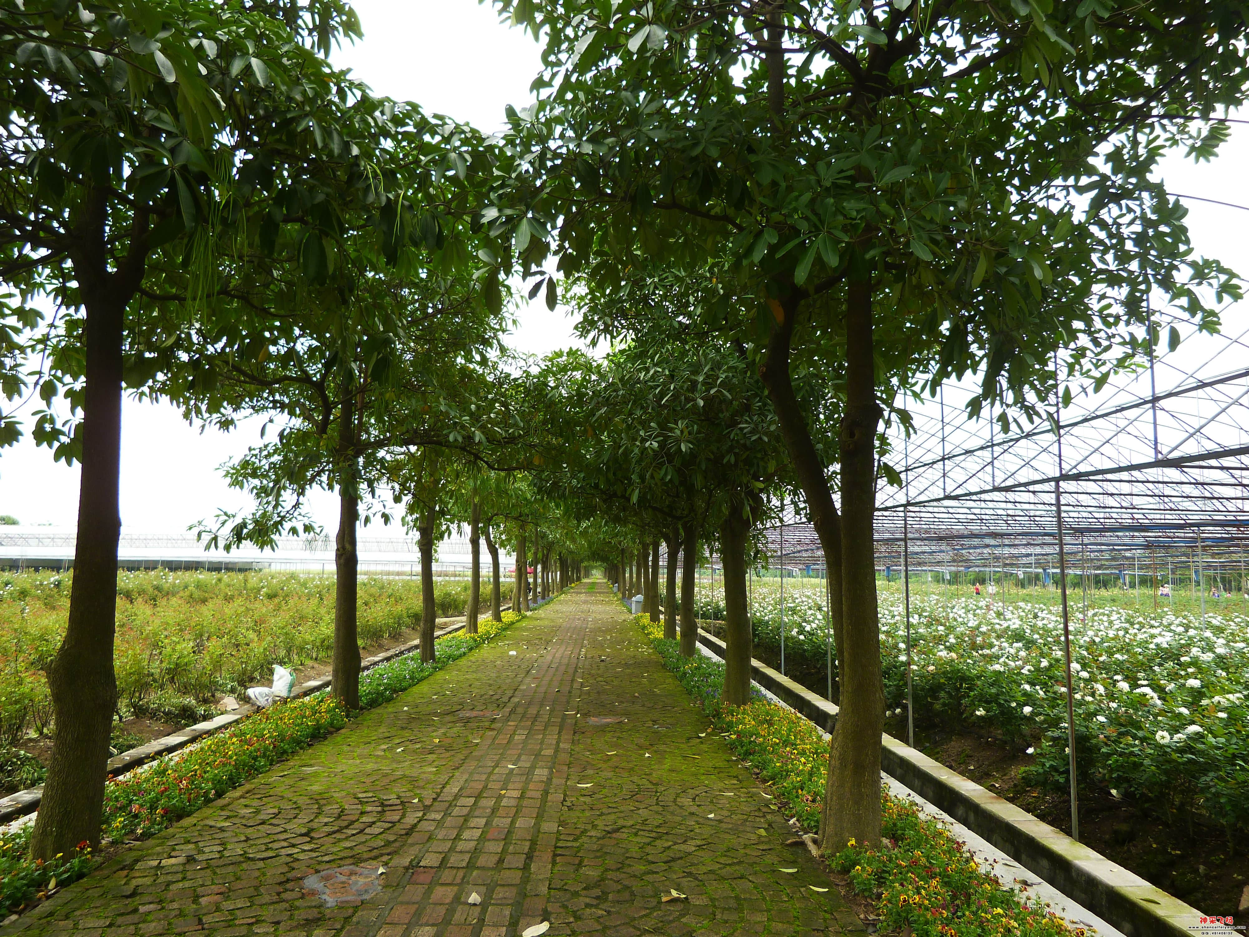 P1010226.JPG