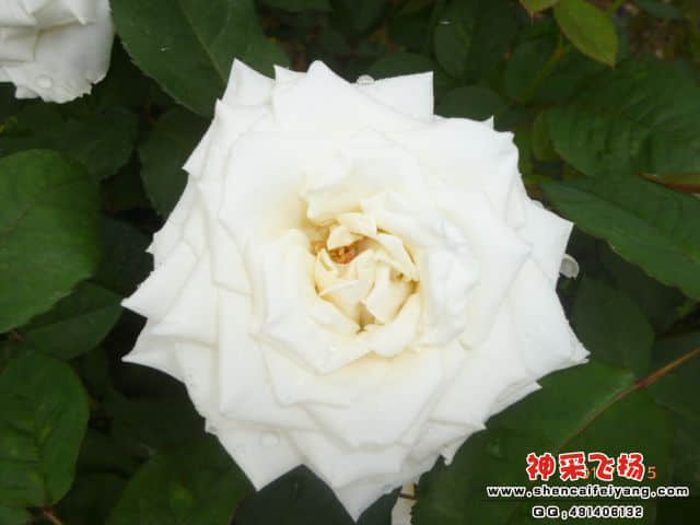 P1010249.JPG