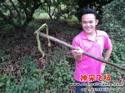 阿健和蛇合影
