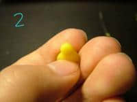 A02.jpg