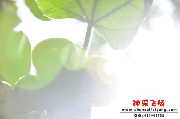 照片 354.jpg