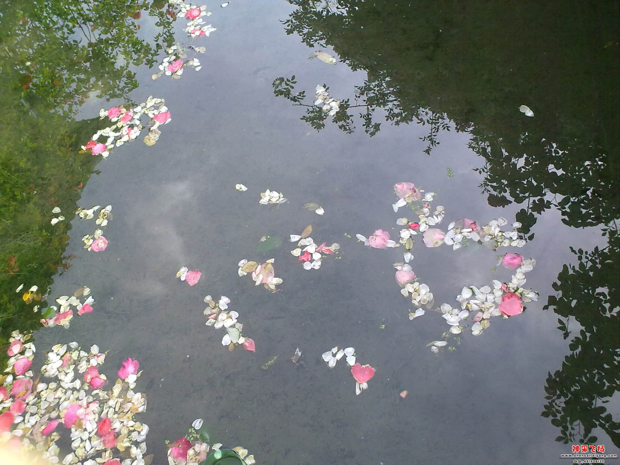 20110527430.jpg