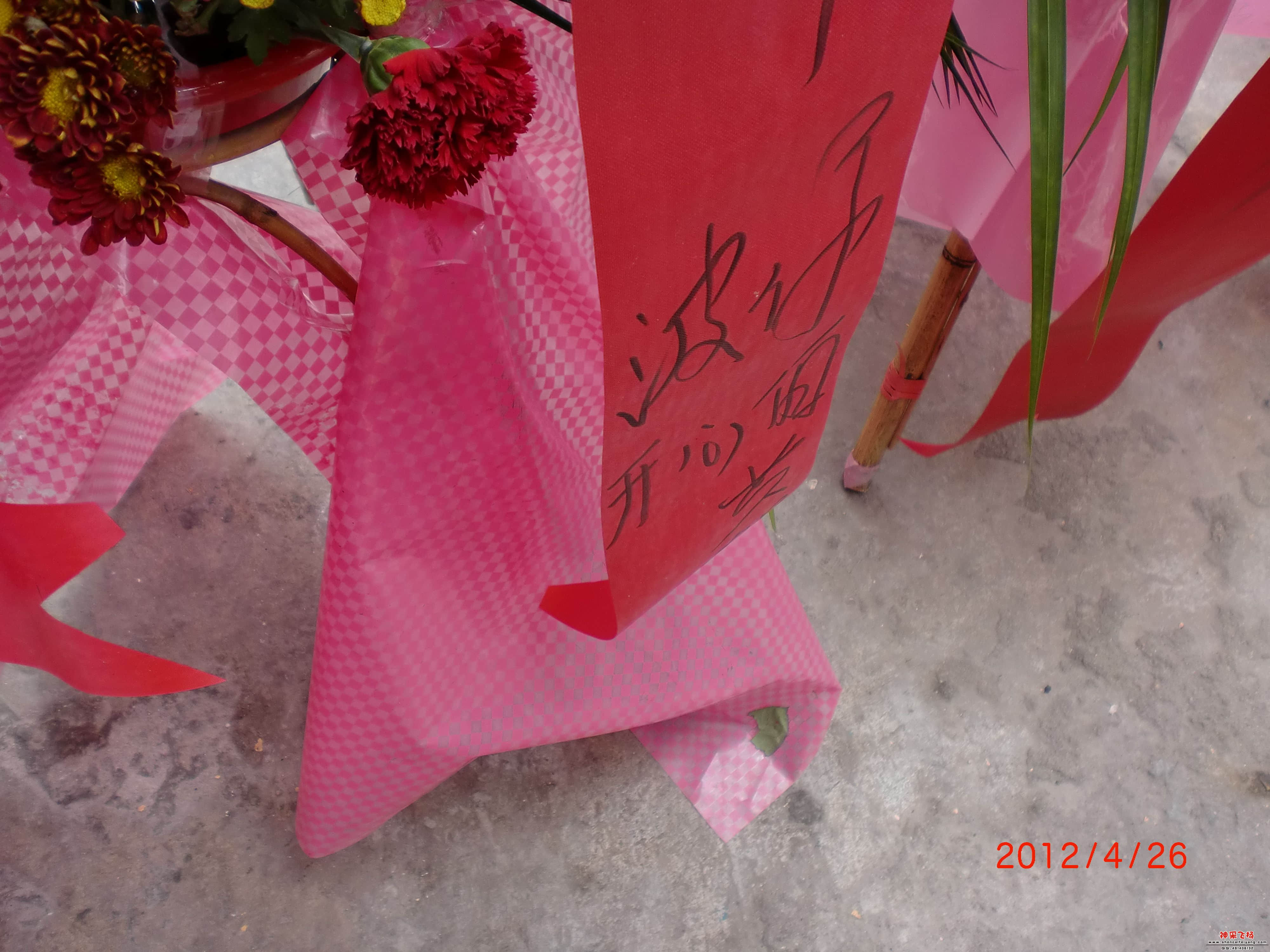 CIMG0900.JPG
