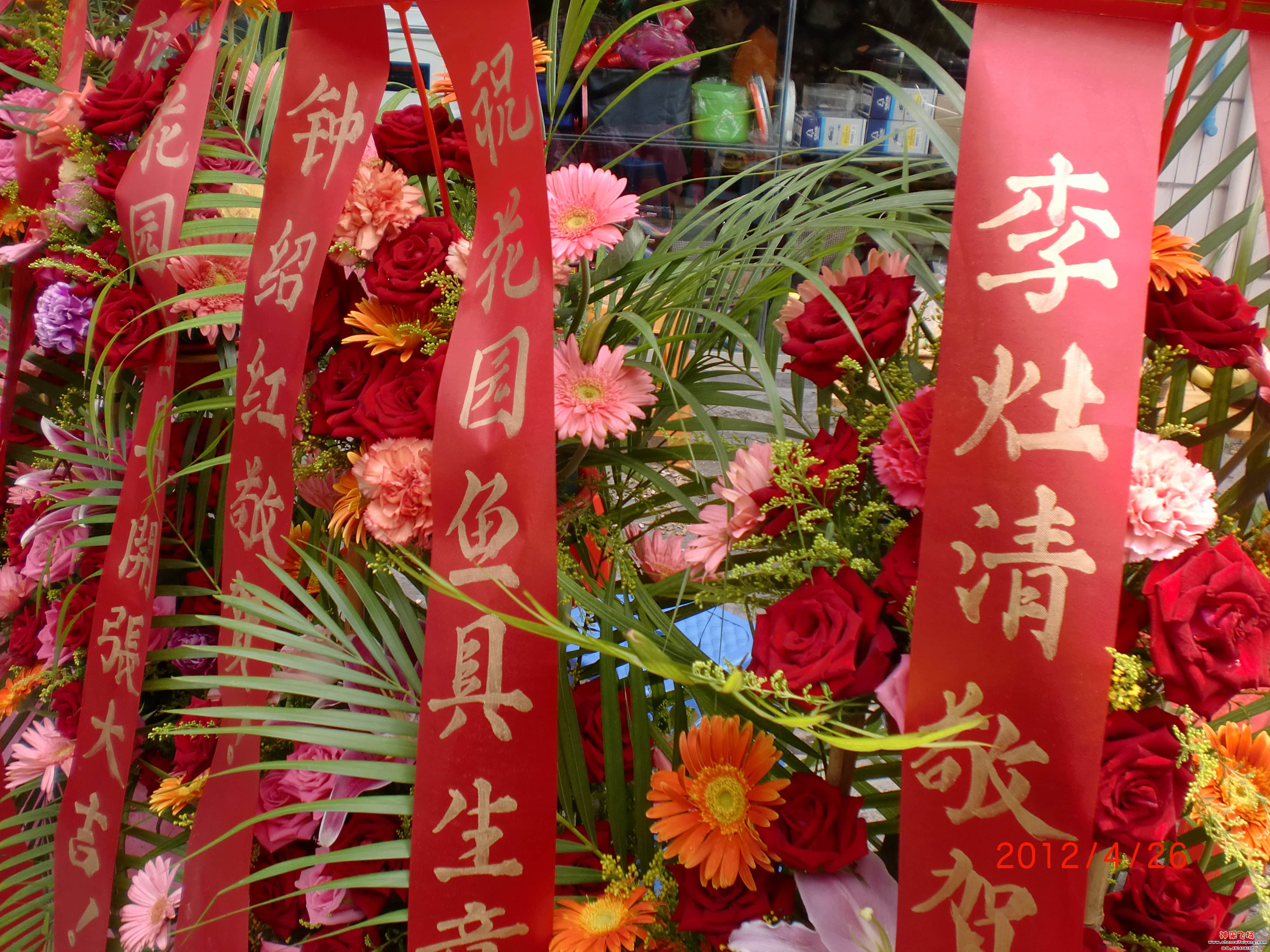 CIMG0903.JPG