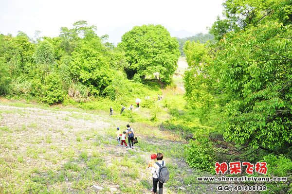 照片 011.jpg