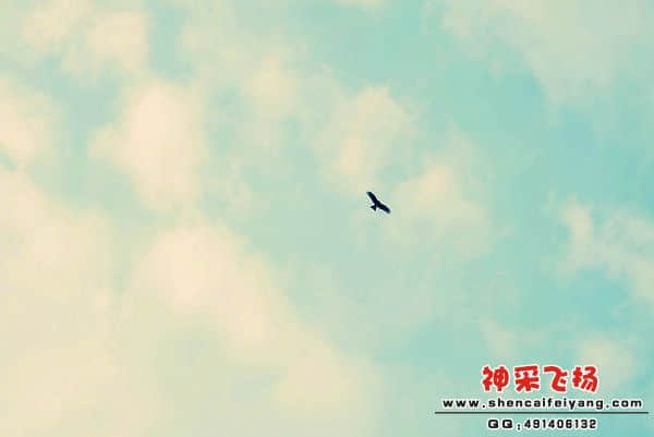 照片 230.jpg