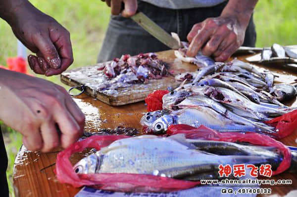 照片 240.jpg
